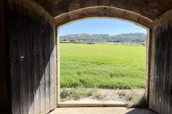 Vida tranquila, caseta de campo! 220.000 €